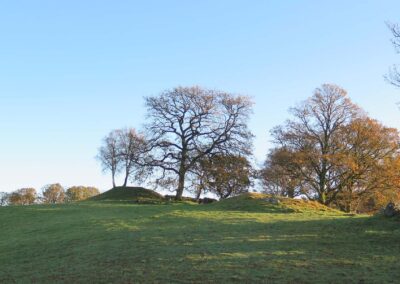 Bilde av mark med to gravhauger. Store trær.